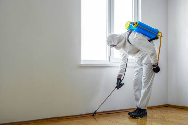 Best Commercial Pest Control Services  in Welby, CO