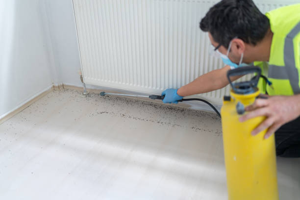 Best Pest Control Cost  in Welby, CO